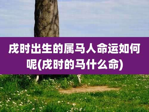 戌时出生的属马人命运如何呢(戌时的马什么命)