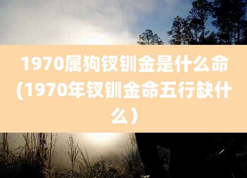 1970属狗钗钏金是什么命(1970年钗钏金命五行缺什么)