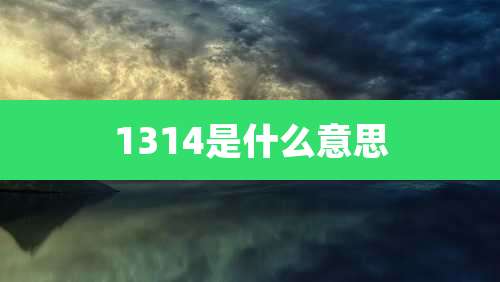 1314是什么意思