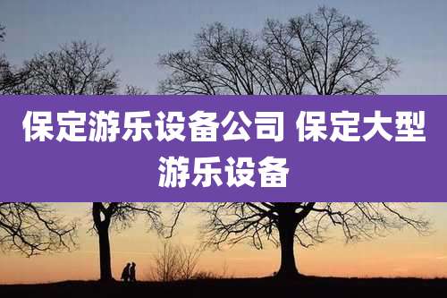 保定游乐设备公司 保定大型游乐设备