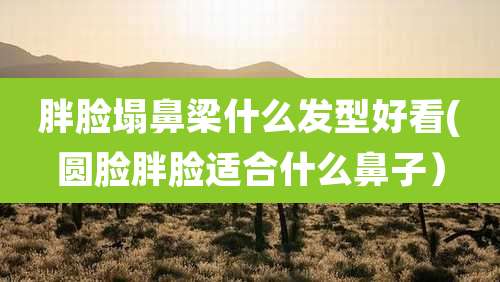 胖脸塌鼻梁什么发型好看(圆脸胖脸适合什么鼻子）