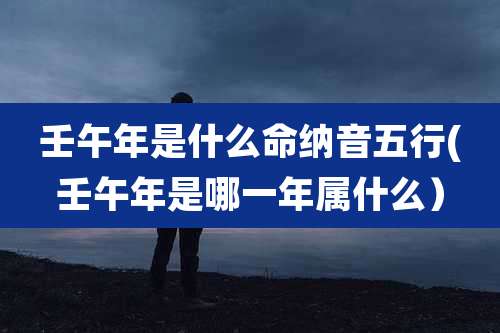 壬午年是什么命纳音五行(壬午年是哪一年属什么）