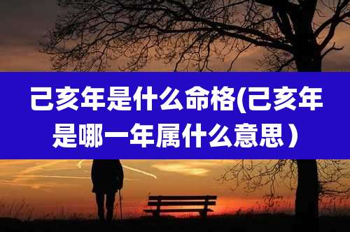 己亥年是什么命格(己亥年是哪一年属什么意思）