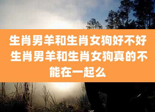 生肖男羊和生肖女狗好不好 生肖男羊和生肖女狗真的不能在一起么