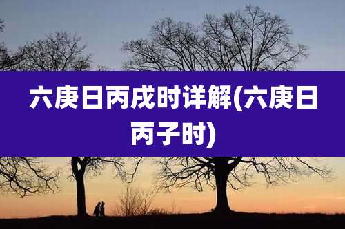 六庚日丙戌时详解(六庚日丙子时)