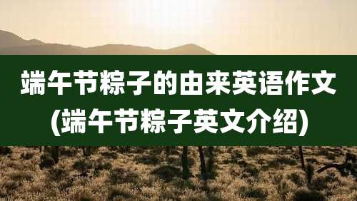 端午节粽子的由来英语作文(端午节粽子英文介绍)