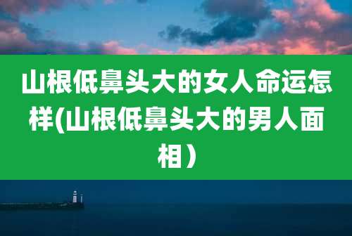 山根低鼻头大的女人命运怎样(山根低鼻头大的男人面相)