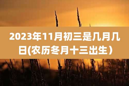 2023年11月初三是几月几日(农历冬月十三出生）