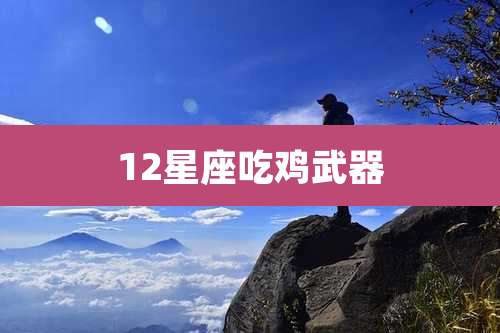 12星座吃鸡武器