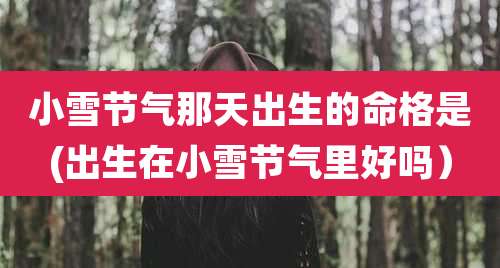 小雪节气那天出生的命格是(出生在小雪节气里好吗)