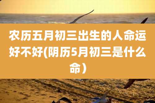 农历五月初三出生的人命运好不好(阴历5月初三是什么命)