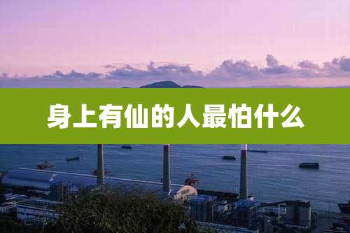 身上有仙的人最怕什么