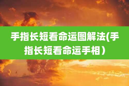 手指长短看命运图解法(手指长短看命运手相)