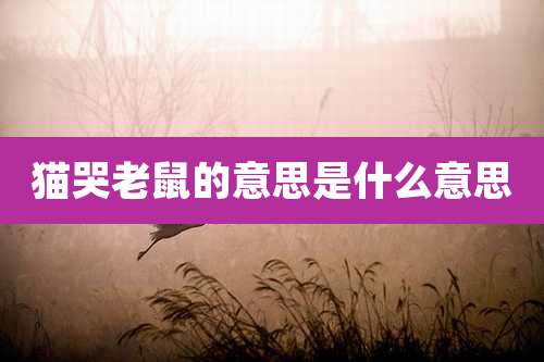 猫哭老鼠的意思是什么意思