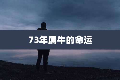 73年属牛的命运