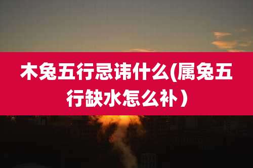 木兔五行忌讳什么(属兔五行缺水怎么补)
