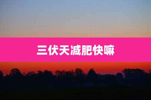 三伏天减肥快嘛