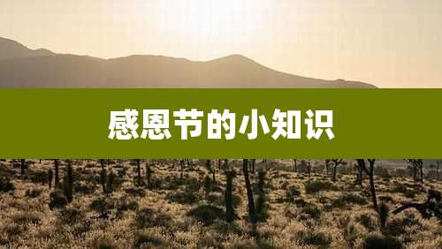 感恩节的小知识