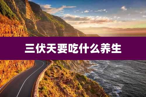 三伏天要吃什么养生