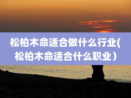 松柏木命适合做什么行业(松柏木命适合什么职业)
