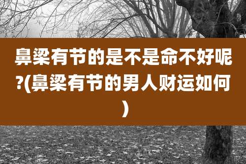 鼻梁有节的是不是命不好呢?(鼻梁有节的男人财运如何）