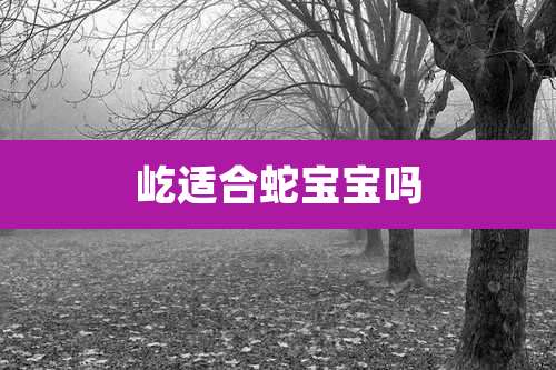 屹适合蛇宝宝吗