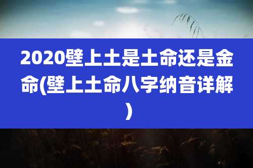2020壁上土是土命还是金命(壁上土命八字纳音详解）