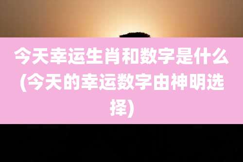 今天幸运生肖和数字是什么(今天的幸运数字由神明选择)