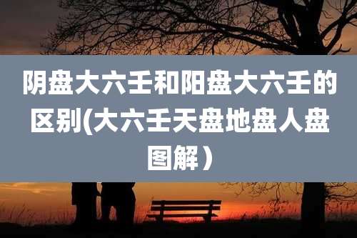 阴盘大六壬和阳盘大六壬的区别(大六壬天盘地盘人盘图解)