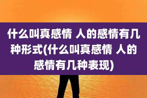 什么叫真感情 人的感情有几种形式(什么叫真感情 人的感情有几种表现)