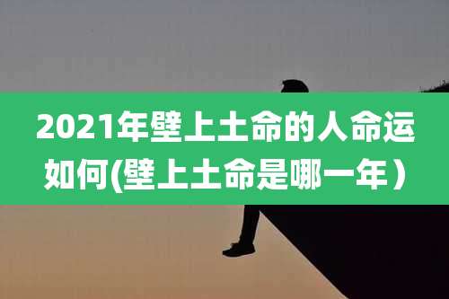 2021年壁上土命的人命运如何(壁上土命是哪一年)