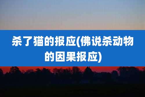杀了猫的报应(佛说杀动物的因果报应)