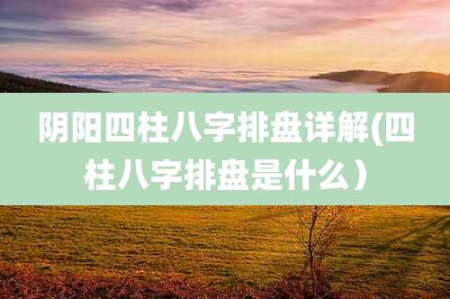 阴阳四柱八字排盘详解(四柱八字排盘是什么)