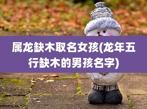 属龙缺木取名女孩(龙年五行缺木的男孩名字)