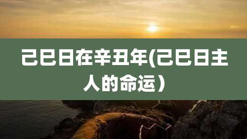 己巳日在辛丑年(己巳日主人的命运)