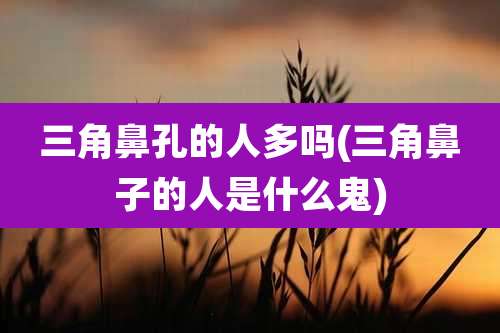 三角鼻孔的人多吗(三角鼻子的人是什么鬼)