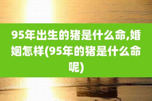 95年出生的猪是什么命,婚姻怎样(95年的猪是什么命呢)