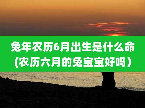 兔年农历6月出生是什么命(农历六月的兔宝宝好吗)