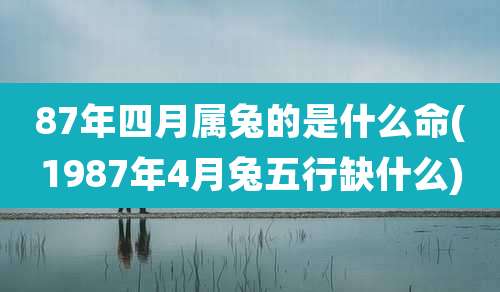 87年四月属兔的是什么命(1987年4月兔五行缺什么)