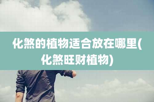 化煞的植物适合放在哪里(化煞旺财植物)