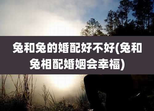 兔和兔的婚配好不好(兔和兔相配婚姻会幸福)