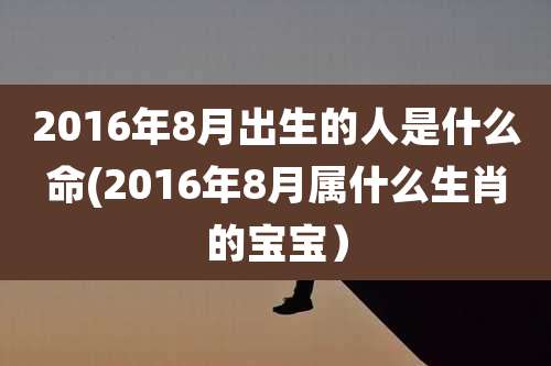 2016年8月出生的人是什么命(2016年8月属什么生肖的宝宝）