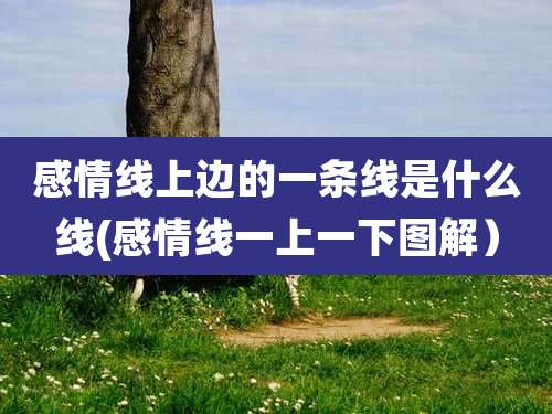 感情线上边的一条线是什么线(感情线一上一下图解)