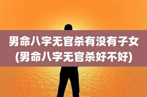 男命八字无官杀有没有子女(男命八字无官杀好不好)