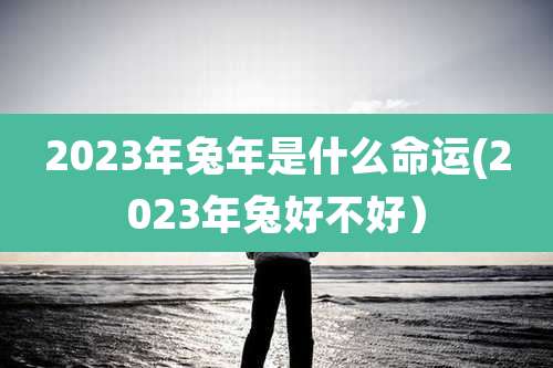 2023年兔年是什么命运(2023年兔好不好)