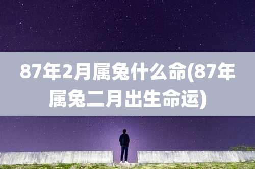 87年2月属兔什么命(87年属兔二月出生命运)