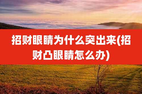 招财眼睛为什么突出来(招财凸眼睛怎么办)