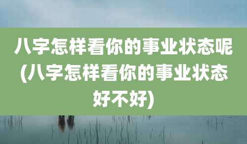 八字怎样看你的事业状态呢(八字怎样看你的事业状态好不好)