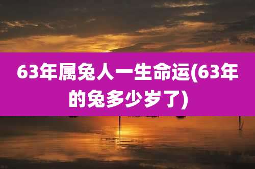 63年属兔人一生命运(63年的兔多少岁了)