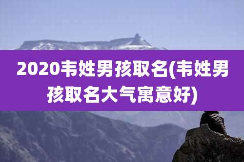 2020韦姓男孩取名(韦姓男孩取名大气寓意好)